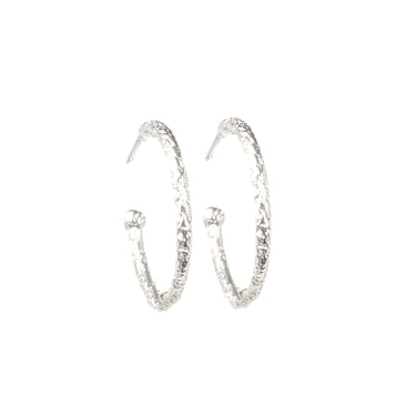 Hoop Earrings 25mm