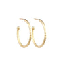 9ct Gold Hoop Earrings 25mm