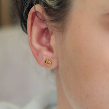 9ct Gold Ammonite Stud Earrings