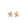 star Diamond Cut Stud Earrings - 9ct Gold